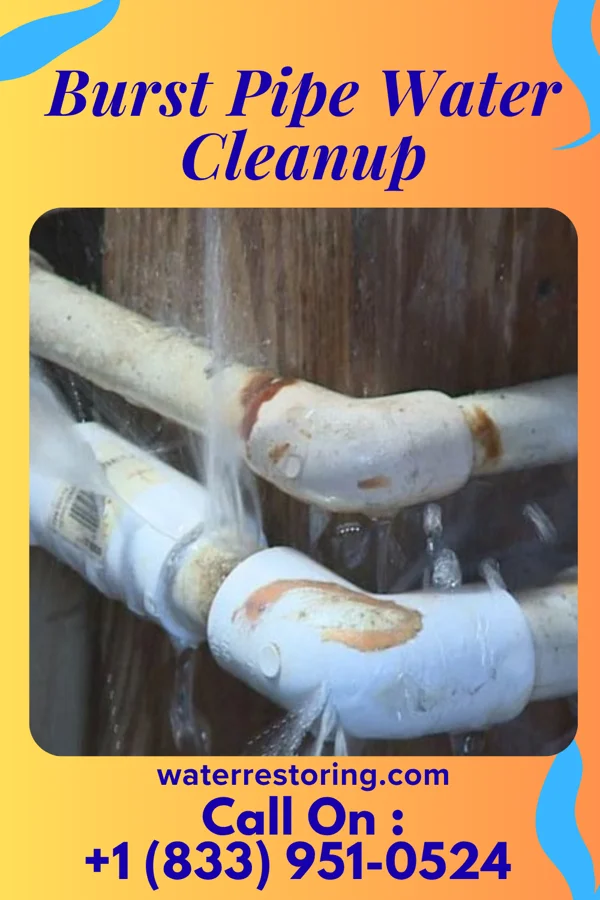 Burst Pipe Water Cleanup in Carrizo Hill, TX